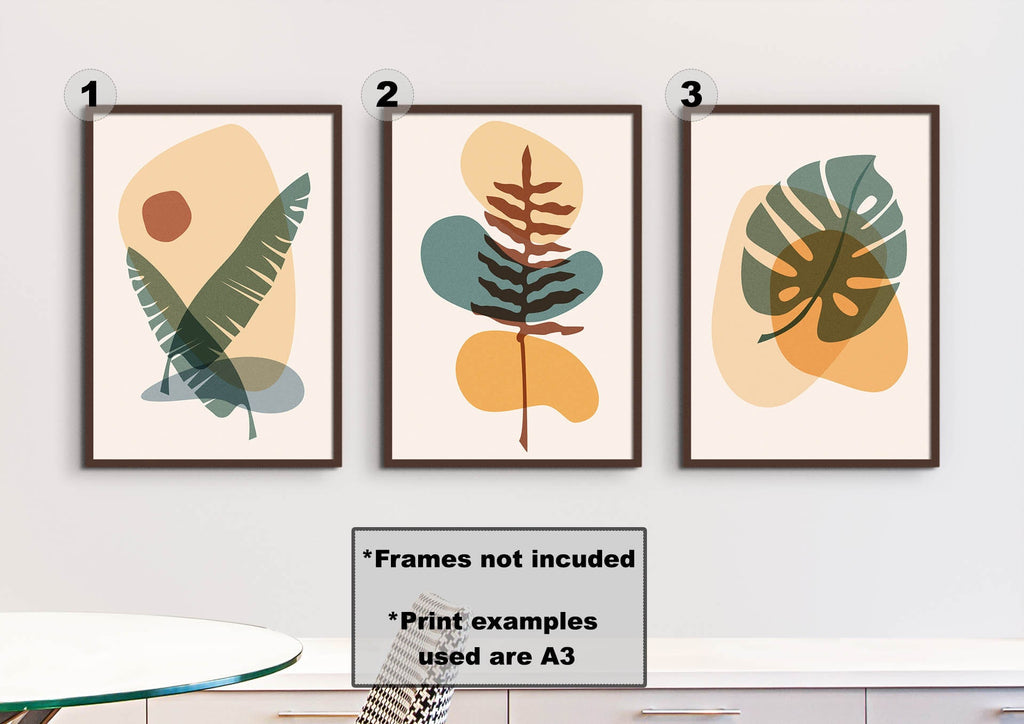 Wall Funk's Floral Abstract Wall Art: three framed prints with unique floral designs, perfect for displaying on a white wall.