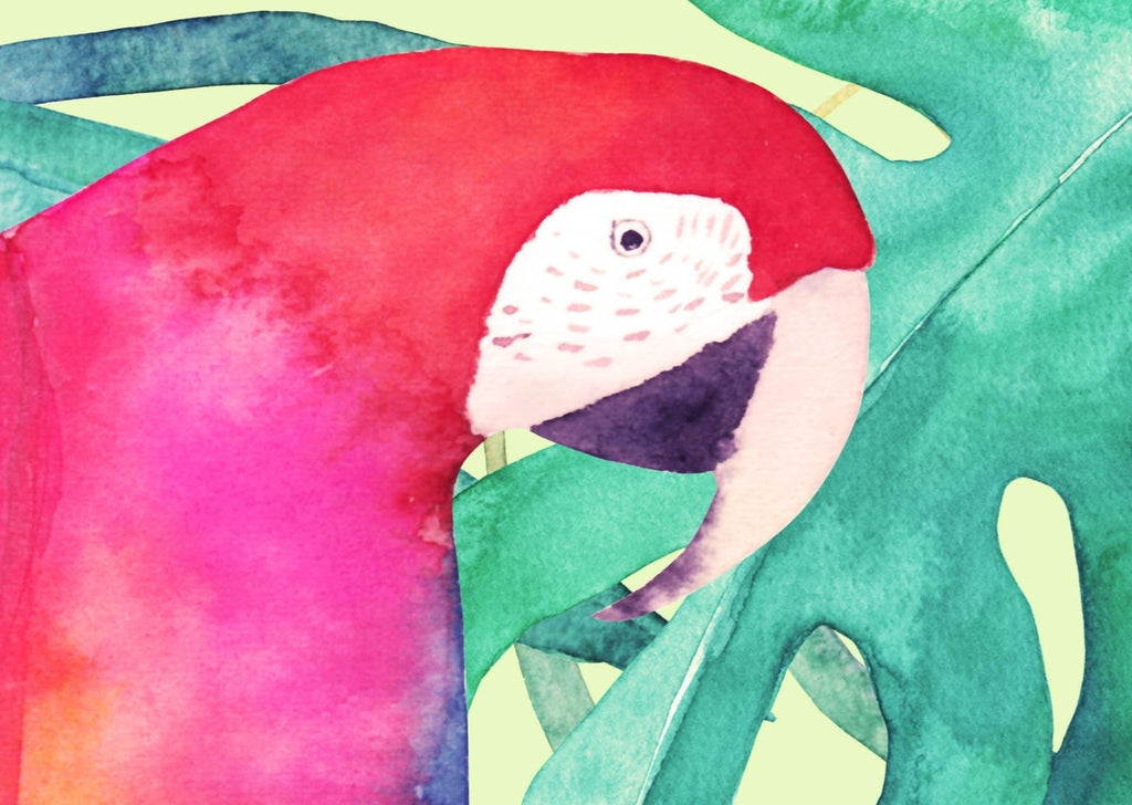 Parrots Tropical Wallpaper Sample - Wall Funk