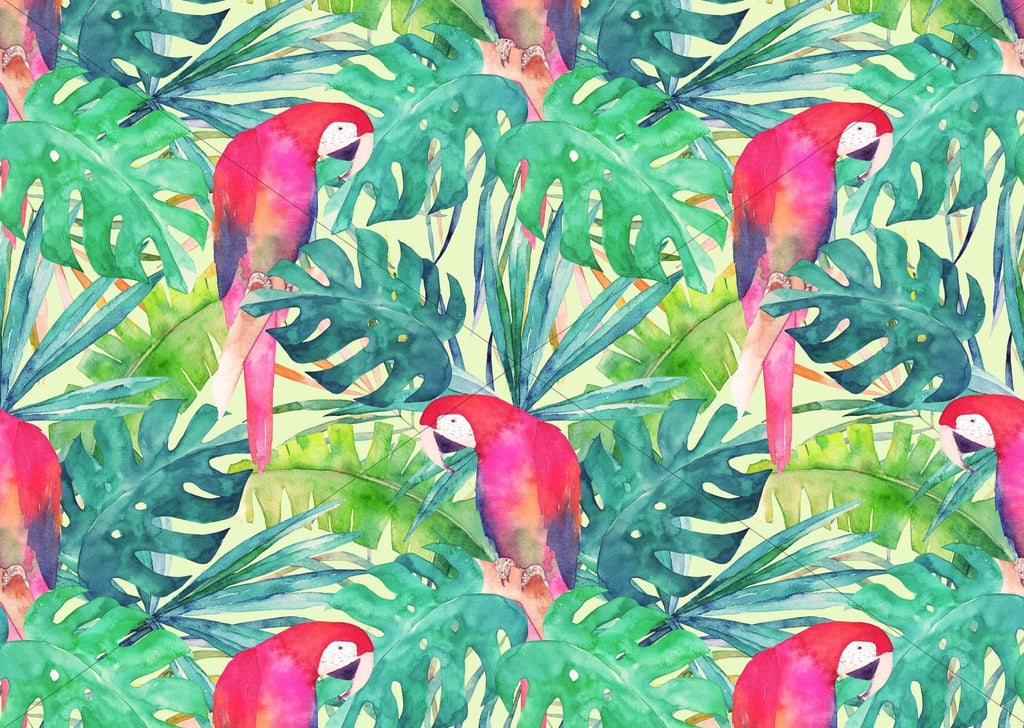 Parrots Tropical Wallpaper - Wall Funk