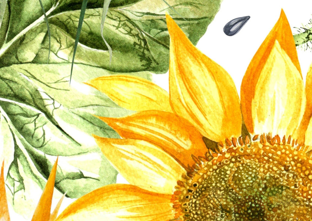 Sunflowers Wallpaper - Wall Funk