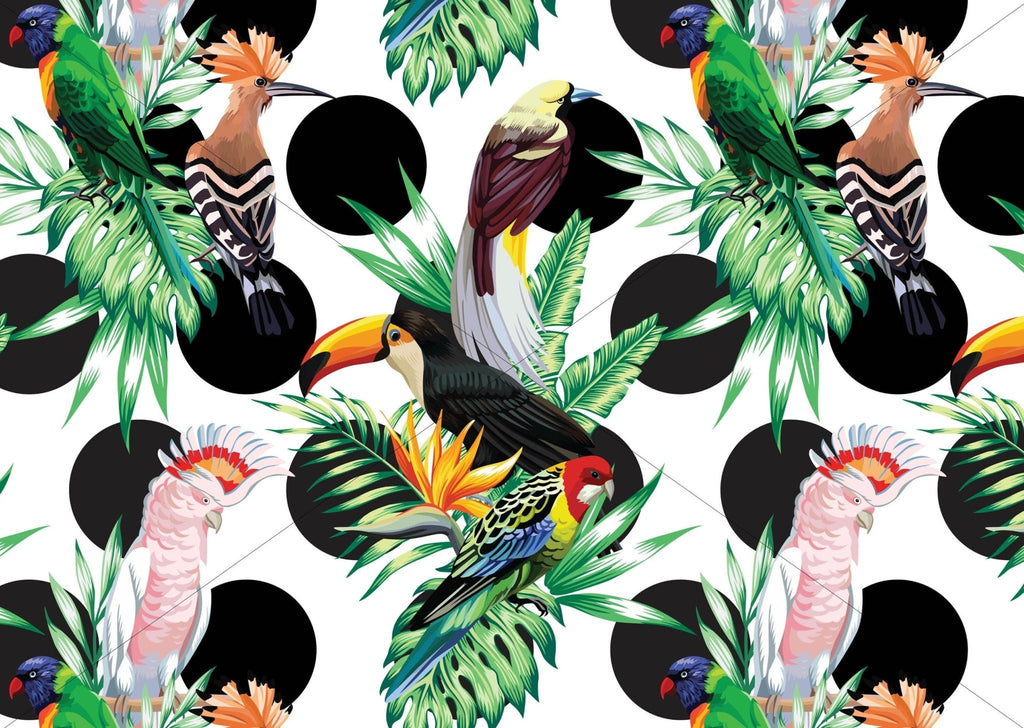 Tropical Birds Wallpaper - Wall Funk